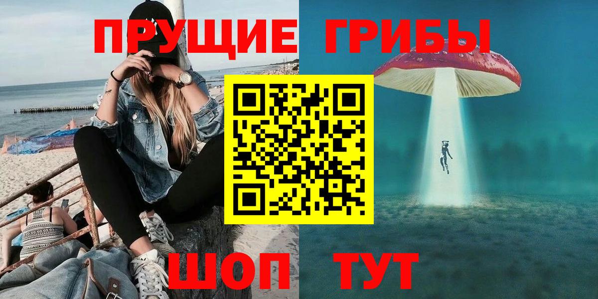 Галлюциногенные грибы Psilocybine cubensis Моздок